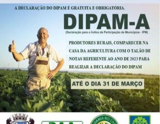 Declaração do DIPAM é gratuita e obrigatória 