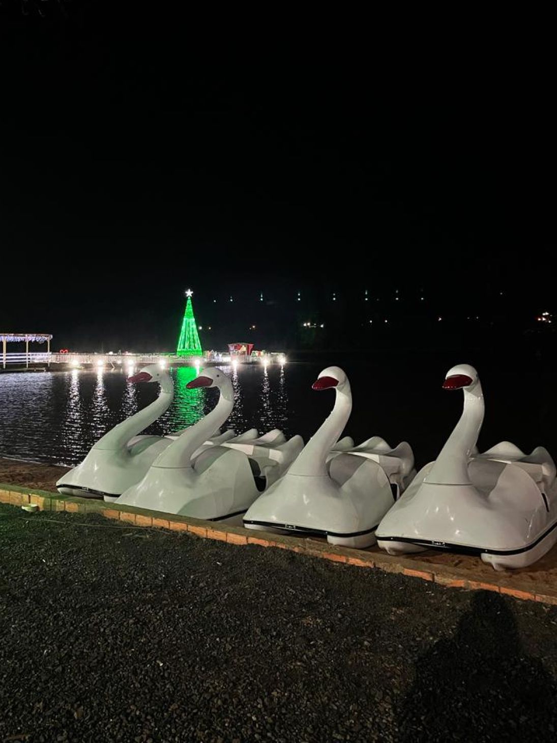 Pedalinho no Lago Municipal