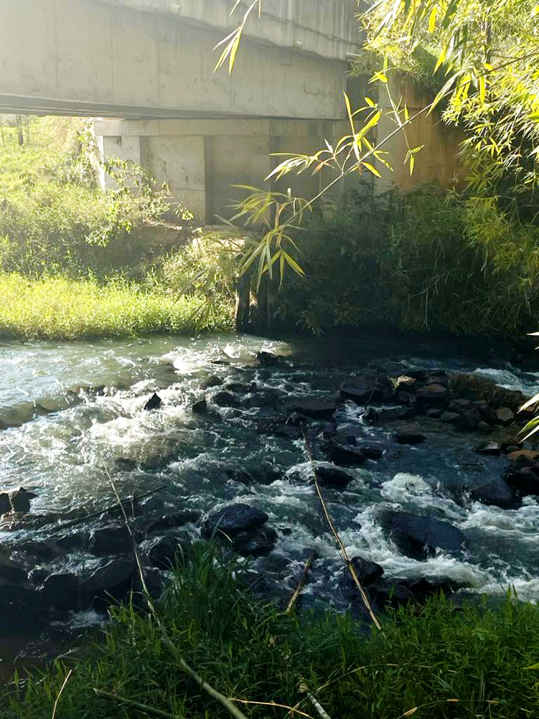 Cachoeira da Fanchona