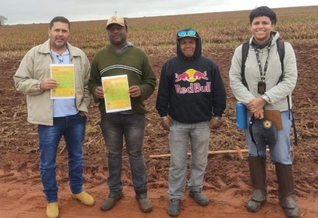 Estudos Arqueológicos em Campos Novos Paulista.